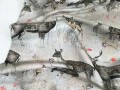 Dzianina pętelkowa, dresówka, wzór w jelonki, jeleń, sarna, taupe